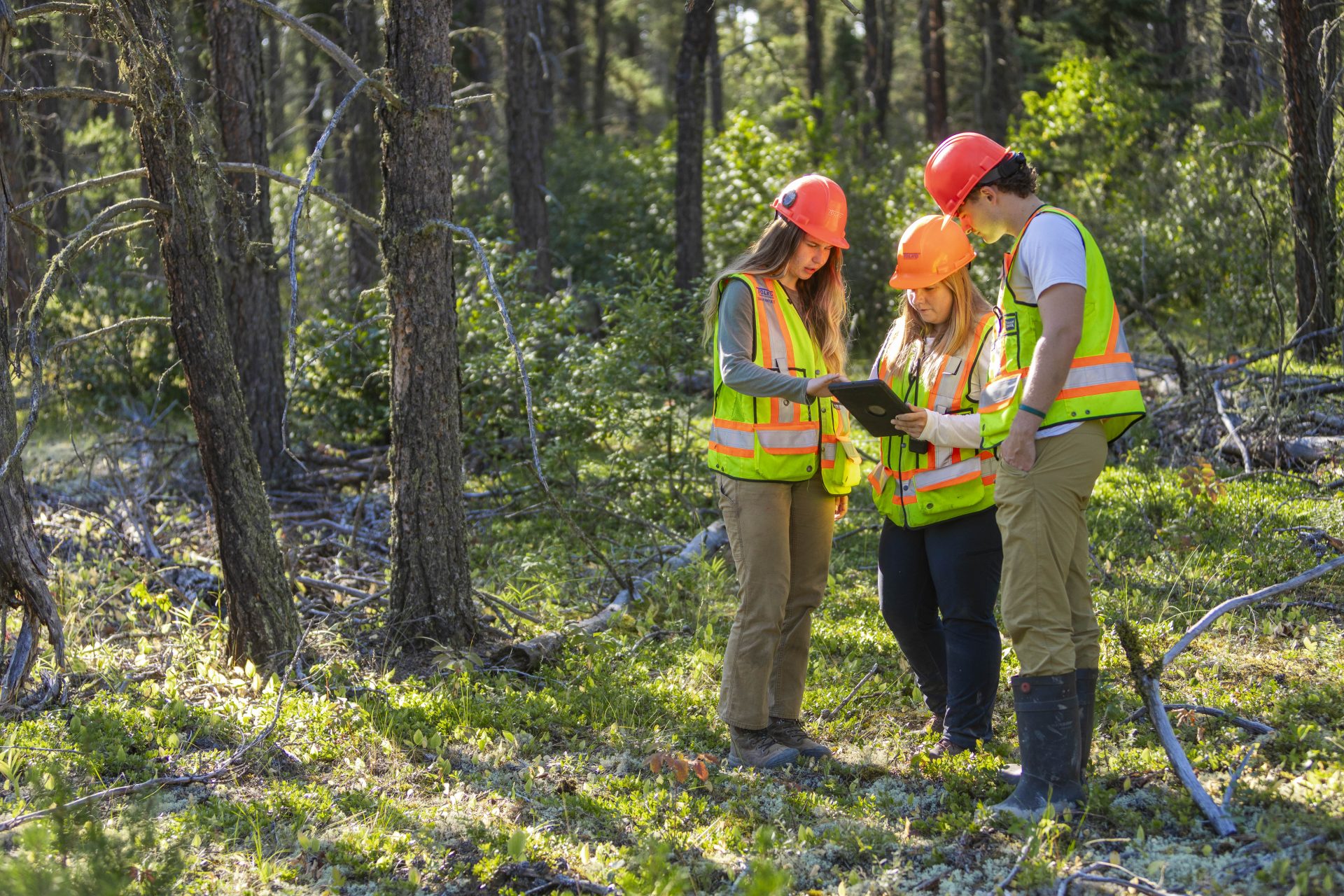 Woodlands_Students-banner
